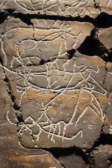Images Dated 28th August 2018: Reproduction of Coa river Valley rock art at the Coa Valley Art and Archaeology Museum