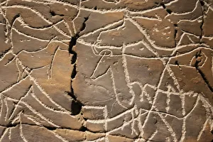 Rock Art Gallery: Reproduction of Coa river Valley rock art at the Coa Valley Art and Archaeology Museum