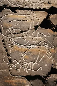 Reproduction of Coa river Valley rock art at the Coa Valley Art and Archaeology Museum