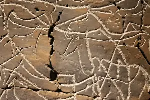 Petroglyph Prints: Reproduction of Coa river Valley rock art at the Coa Valley Art and Archaeology Museum