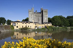 Images Dated 16th August 2010: Republic of Ireland, County Clare, Bunratty Castle