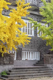 Grounds Prints: Former Residence of Huiqing Yan, Wudadao Culture Area, Tianjin, China