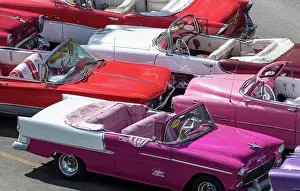 Classic Prints: Restored classic American cars waiting to take tourists on city tour