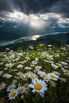 Revelstoke Prints: Revelstoke, British Columbia, Canada