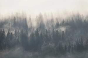 Revelstoke Prints: Revelstoke, British Columbia, Canada