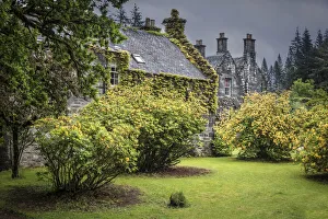 Aryll And Bute Prints: Rhododendrons in the park of the Ardanaiseig Castle Hotel, Kilchrenan, Aryll and Bute