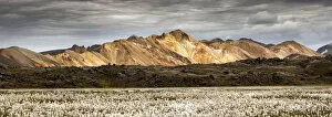 Rhyolite mountains, In the foreground cottongrass field, Landmannalaugar, South Iceland