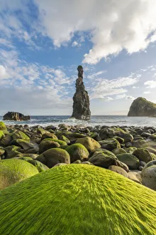 Pebbles Prints: Rib and Janela islets in the morning light. Porto Moniz, Madeira Island, Portugal