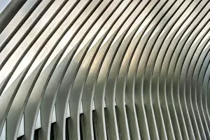 Ribs of Oculus station house designed by architect Santiago Calatrava