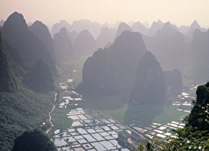 Guangxi Province Gallery: Rice fields