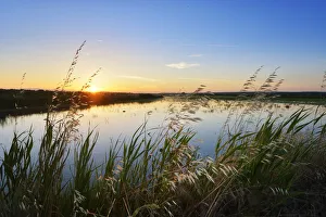 Images Dated 11th November 2016: Rice fields at sunset. Comporta, Alentejo, Portugal