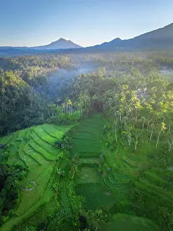 East Bali Prints: Rice tewrraces in East Bali, Bali, Indonesia