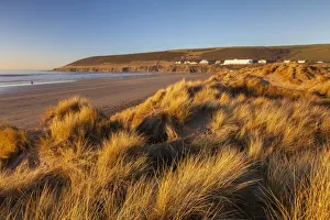 Rich evening sunlight on the dunes of Braunton Burrows, overlooking Saunton Sands Beach