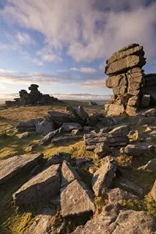 Images Dated 20th January 2014: Rich evening sunlight at Great Staple Tor, Dartmoor National Park, Devon, England