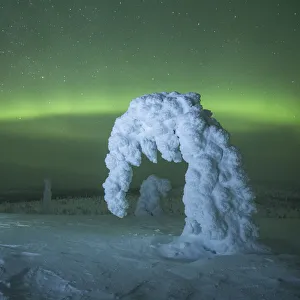 Riisitunturi in winter with Aurora Borealis, Kuusamo, Lapland, Finland