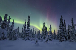 Finnish Gallery: Riisitunturi in winter with Aurora Borealis, Kuusamo, Lapland, Finland