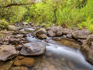 Pura Vida Prints: Rio Platanillo, Turrialba, Cartago Province, Costa Rica