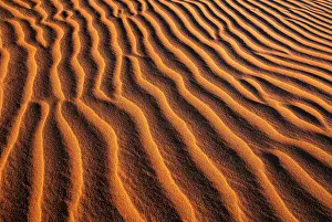 Ripples Prints: Ripples in orange sand dune, Namib-Naukluft National Park, Namib Desert, Namibia