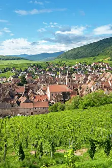 Riquewihr Prints: Riquewihr, Alsace wine region, France