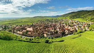 Riquewihr Prints: Riquewihr, Alsace wine region, France