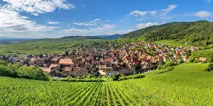Wine Region Prints: Riquewihr, Alsace wine region, France