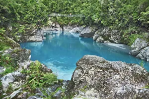 Temperate Rain Forest Prints: River bed in Canyon - New Zealand, South Island, West Coast, Westland, Hokitika