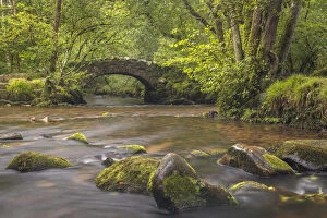 Images Dated 8th December 2021: River Bovey at Hisley Bridge, Dartmoor National Park, Devon, England