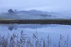 River Brathay on a misty morning near Elterwater, Lake District, Cumbria, England. Autumn