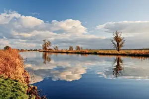 River Bure Reflections, Norfolk Broads National Park, England