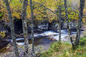 River Etive surrounded by trees in full autumn colours, Glen Etive, Highlands, Scotland River Etive surrounded by trees in full autumn colours, Glen Etive, Highlands, Scotland