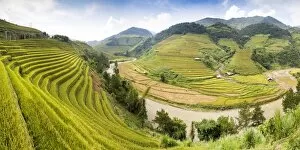 A river flows through lush, green rice terraces, Mu Cang Chai, Yen Bai Province, Vietnam