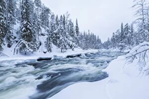 Images Dated 18th February 2014: River, Juuma, Oulankajoki National Park, Kuusamo, Finland