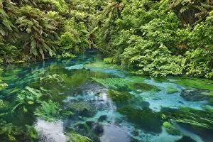 River landscape at Blue Spring - New Zealand, North Island, Waikato, South Waikato
