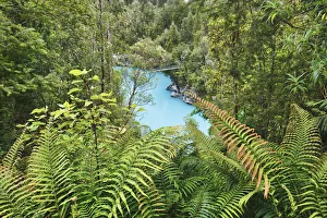 River landscape - New Zealand, South Island, West Coast, Westland, Hokitika River landscape - New Zealand, South Island, West Coast, Westland, Hokitika