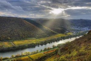 Images Dated 12th June 2018: River Mosel with Sehl at fall, Rhineland-Palatinate, Germany