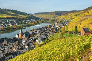 River Mosel with Zell at fall, Rhineland-Palatinate, Germany