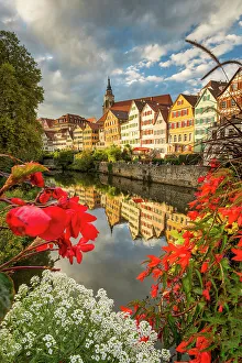 River Neckar Prints: River Neckar Reflections, Tubingen, Baden-Wurttemberg, Germany