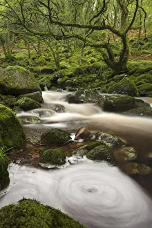 River Plym flowing through Dewerstone Wood, Shaugh Prior, Dartmoor, Devon, England