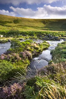 Bleak Prints: River Tavy running throughTavy Cleave in Dartmoor National Park, Devon, England. Summer