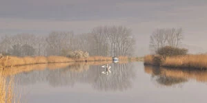 Panorama Gallery: River Thurne Reflections, Norfolk Broads National Park, Norfolk, England
