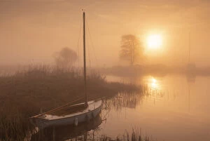 Foggy Collection: River Thurne at Sunrise, Norfolk Broads National Park, Norfolk, England