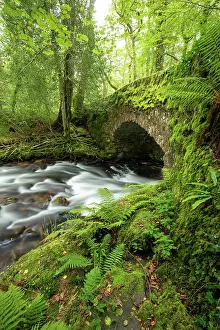 Stream Prints: River Webburn and Buckland Bridge