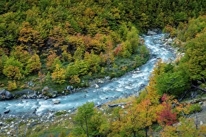 Images Dated 14th September 2023: River winding through beech forest in autumn, Torres del Paine National Park, Chile