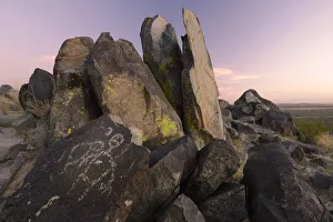 Rock Art Gallery: Three Rivers Petroglyph Site, BLM, New Mexico, USA
