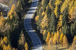 Road in autumnal environment. Maloja Pass, Engadin, Graubunden, Switzerland