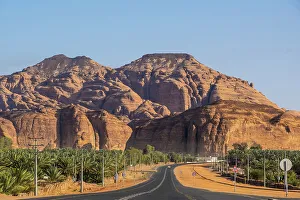Road & Date palms in the Oasis of Al-Ula, Medina Province, Saudi Arabia