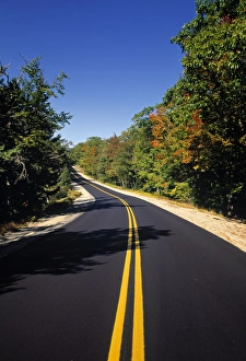 Road in Fall