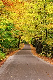 Adirondacks Prints: Road with fall foliage in the Adirondack Mountains, New York, USA