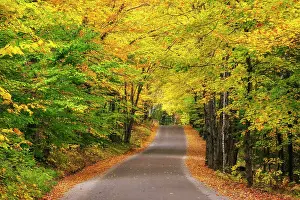 Roads Prints: Road with fall foliage in the Adirondack Mountains, New York, USA