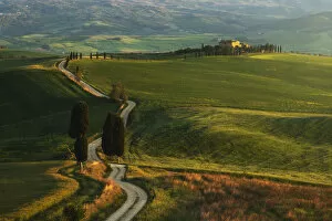 Images Dated 21st October 2020: road to farmhouse in Montalcino, Tuscany, Italy